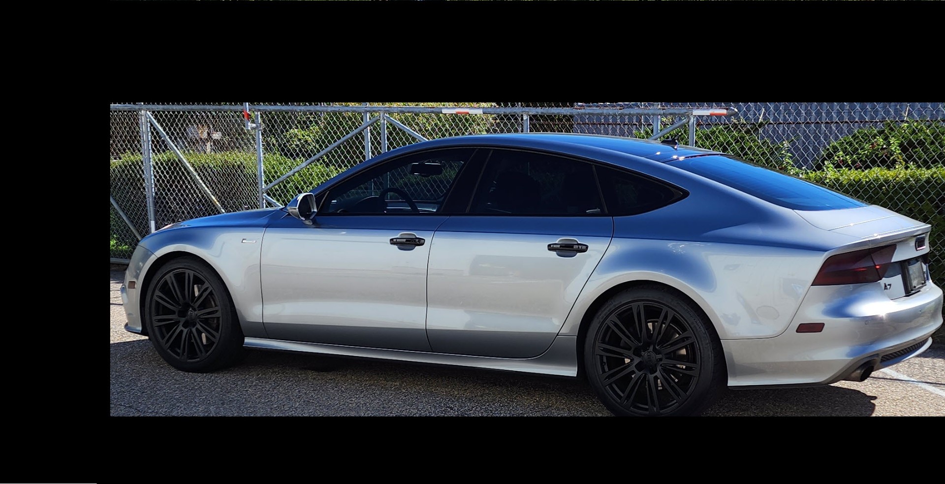Car Wraps